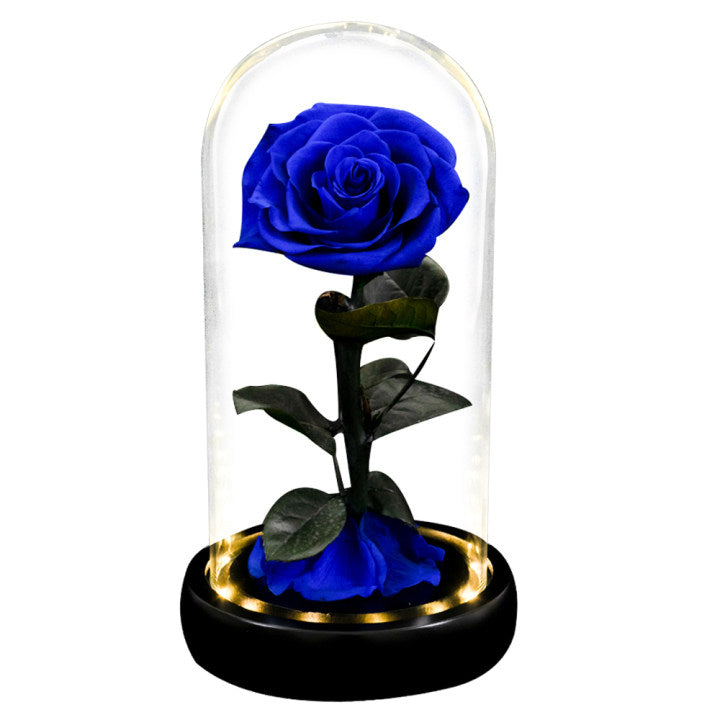 Ainyrose Real Forever Rose con LED Rojo Eternal Rose 5 Colores
