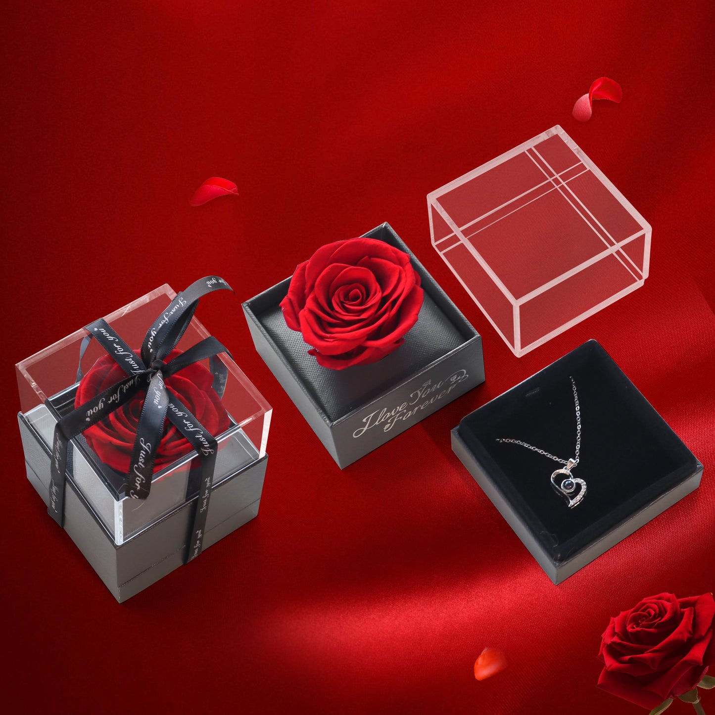 Clamshell Type Preserved Rose Acrylic Jewelry Box-5-6cm