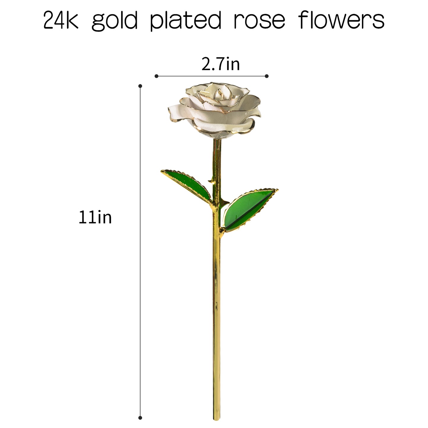 Ainyrose Artificielle Forever Rose Galaxy Rose-5 Couleurs