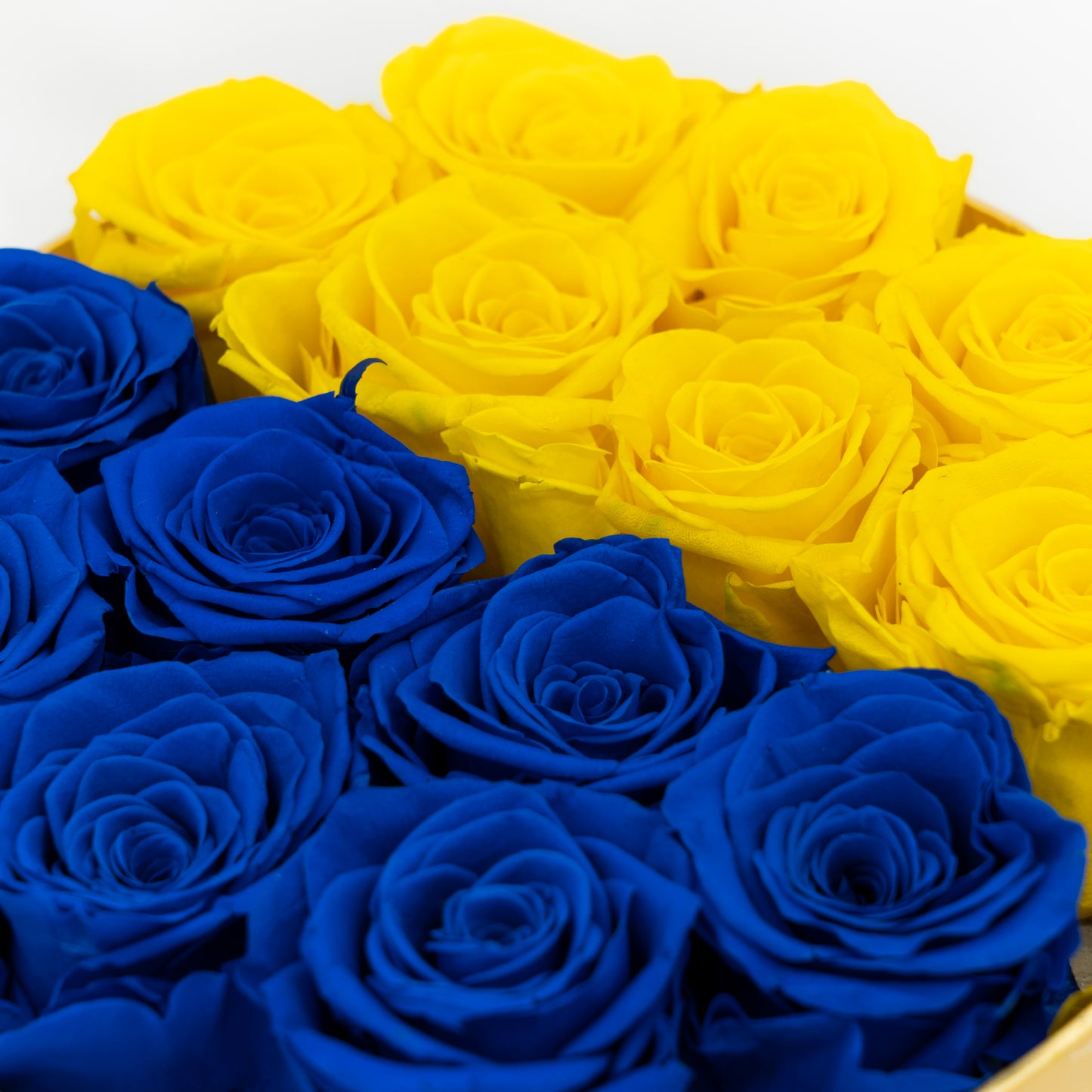 Classic Forever Rose Box Double Color 7-14-24 pcs