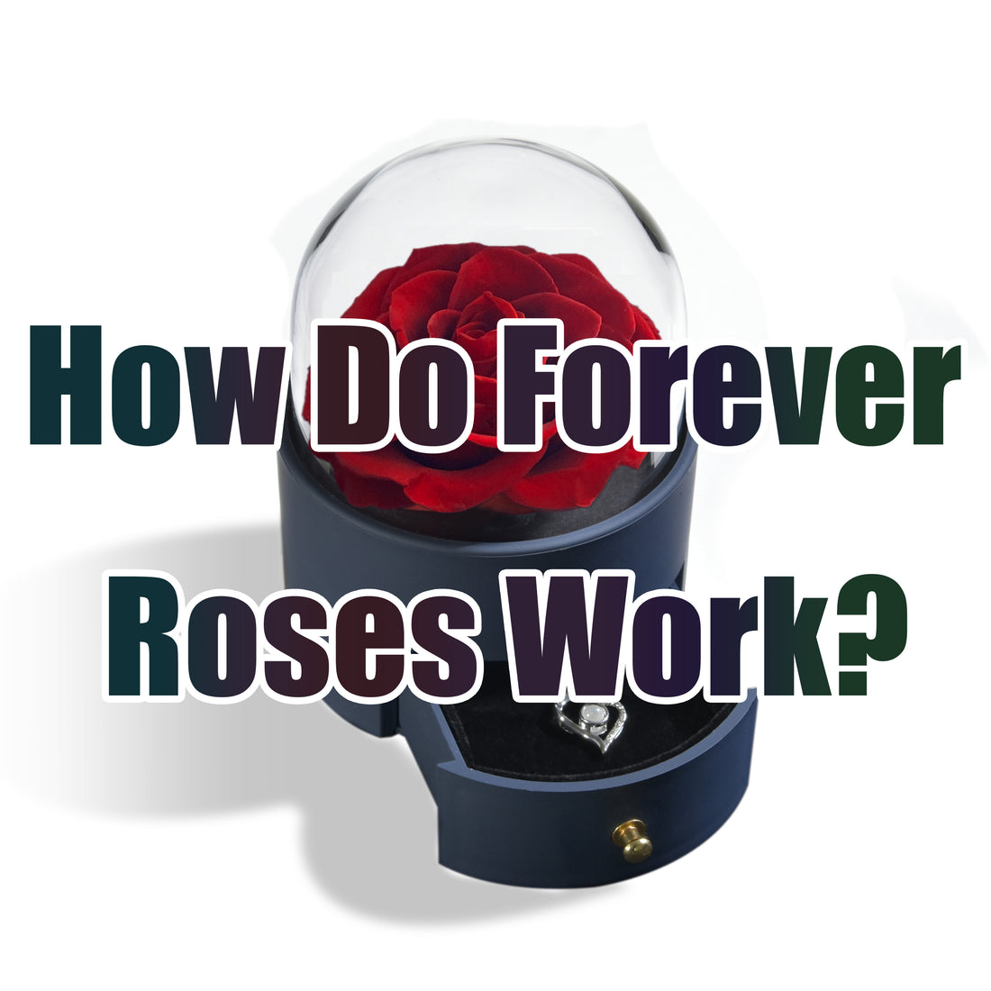How Do Forever Roses Work?
