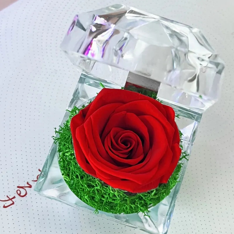 Preserved Rose in Acrylic Box – ColorfulFlowers