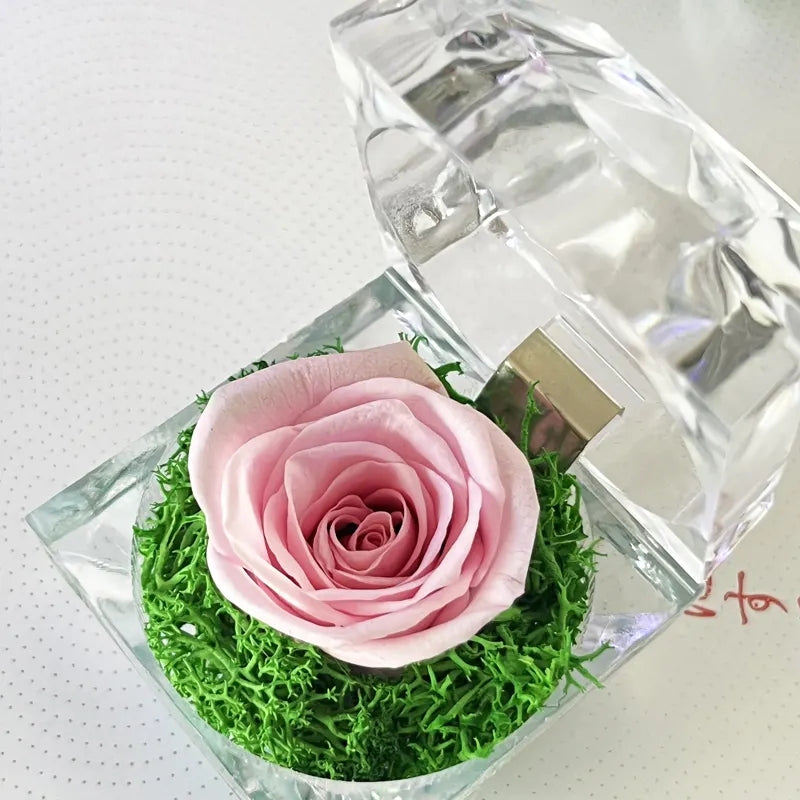 Preserved Rose in Acrylic Box – ColorfulFlowers