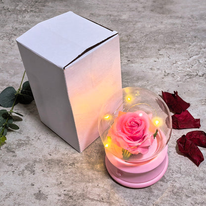 Music Box Artificial Rose flower in Glass Dome