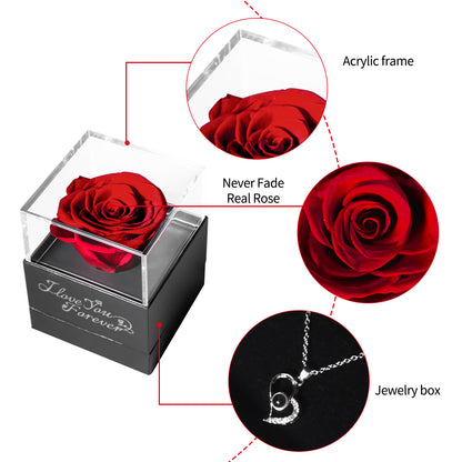 Clamshell Type Preserved Rose Acrylic Jewelry Box-5-6cm