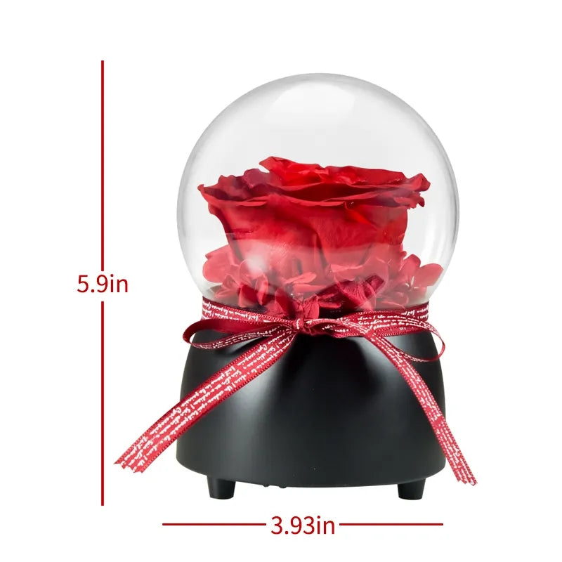 Rotating Music Box Red Preserved Rose