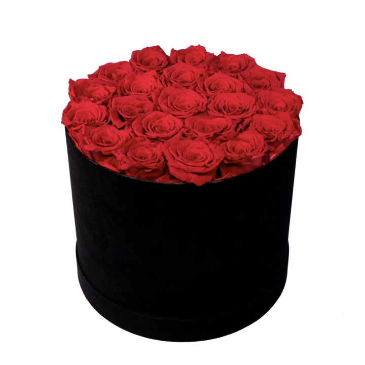 Preserved Rose Box Plus 20-25 pcs