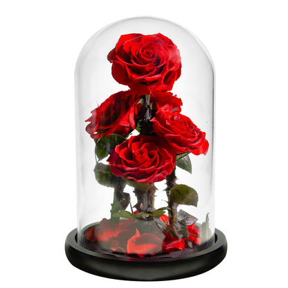 AINYROSE Real Forever Heart Rose-3 piezas