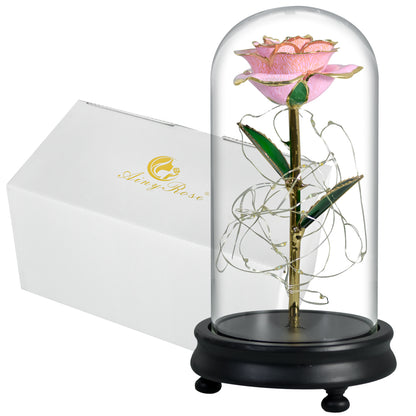 Ainyrose Artificial Forever Rose Galaxy Rose-5 Colores