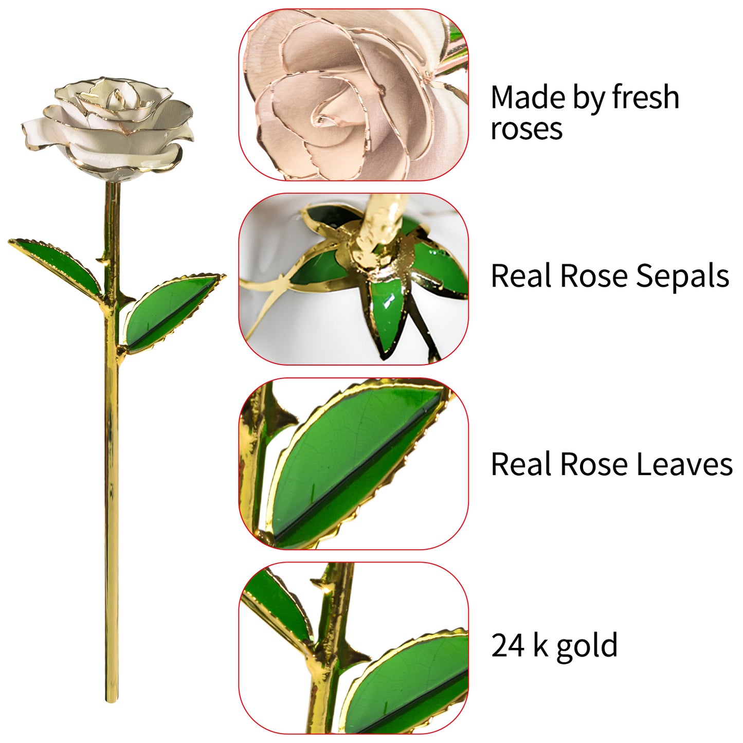 Ainyrose Artificial Forever Rose Galaxy Rose-5 Cores