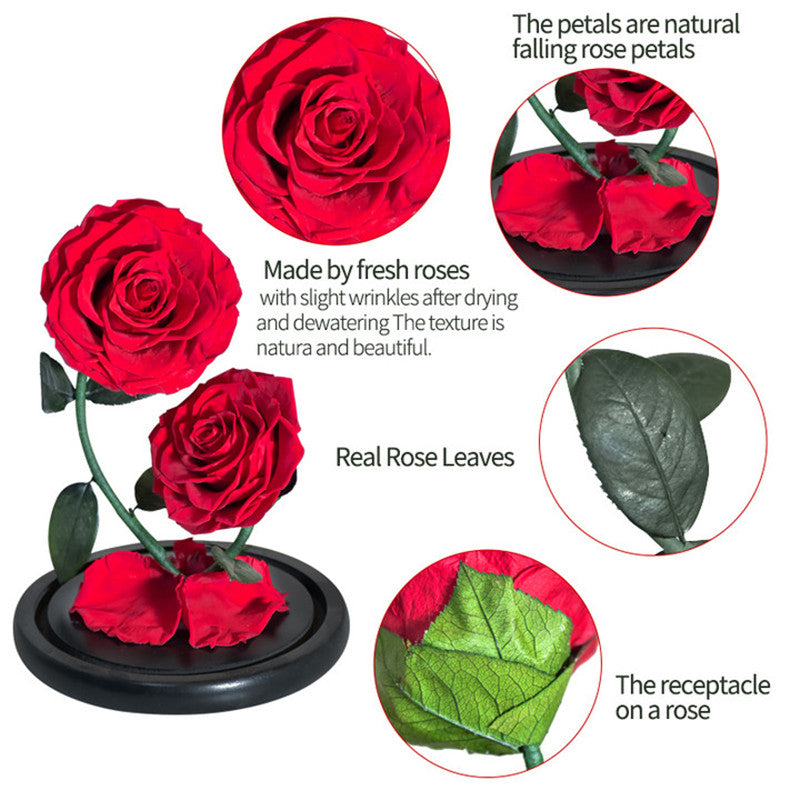 AINYROSE Real Forever Rose 2 piezas-4 colores