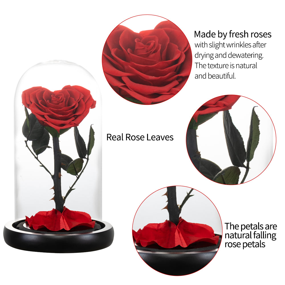 Ainyrose Heart Forever Rose-5 colors