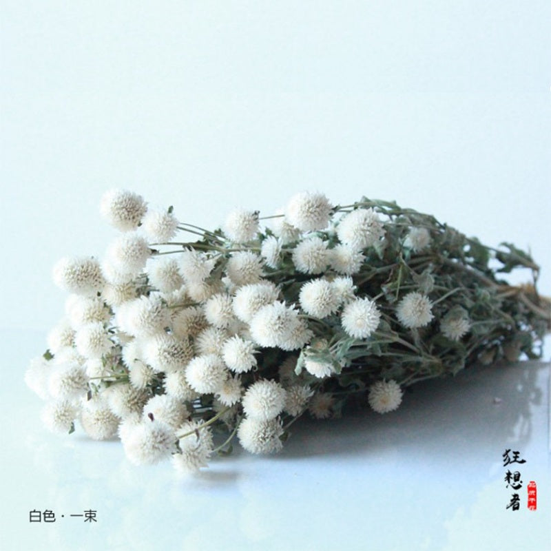 Ainyrose Dried Flower Style 7