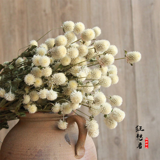 Ainyrose Dried Flower Style 7