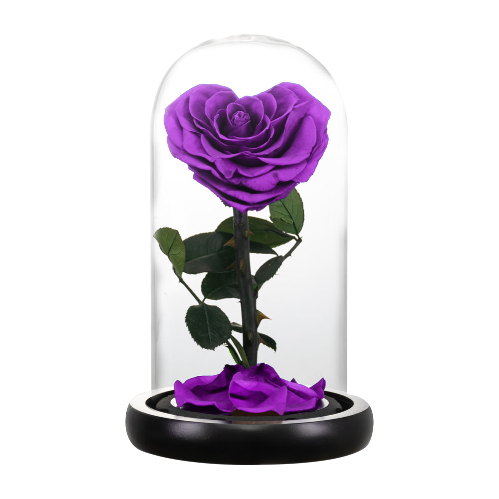 Ainyrose Heart Forever Rose-5 Farben