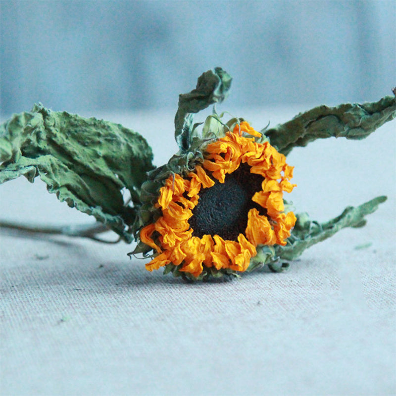 Ainyrose Dried Flower Style 9