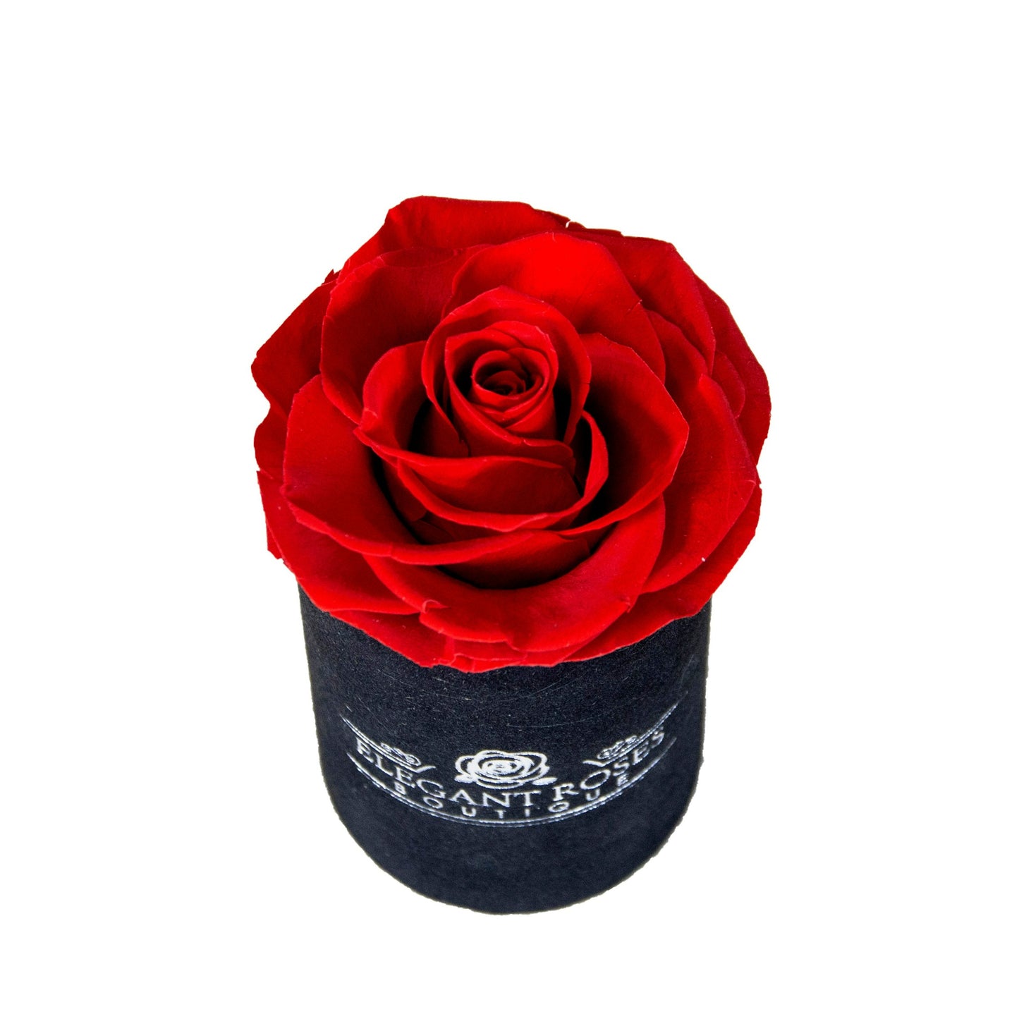 Ainyrose Mini Forever Rose Box 1 pcs
