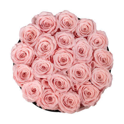 Preserved Rose Box Plus 20-25 pcs