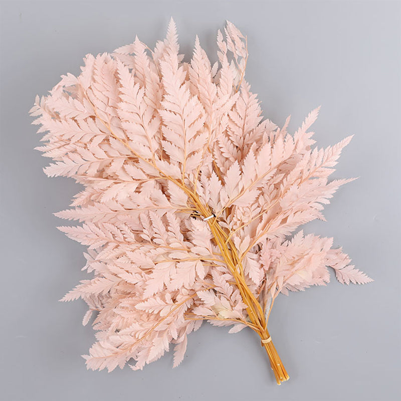 Ainyrose Dried Flower Style 11