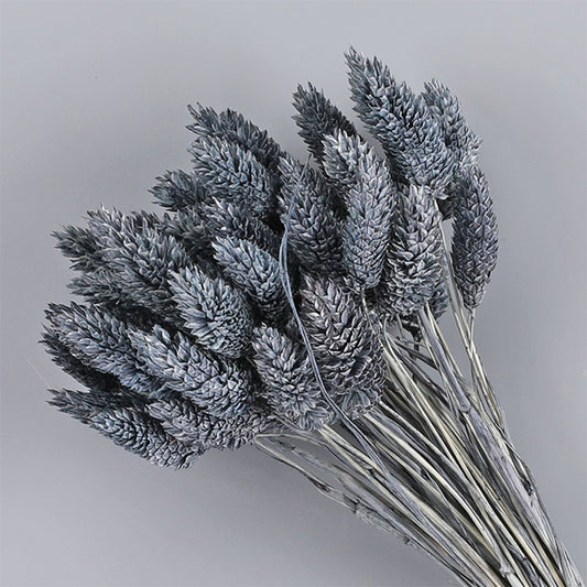 Ainyrose Dried Flower Style 10