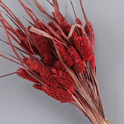 Dried Flower Style 10