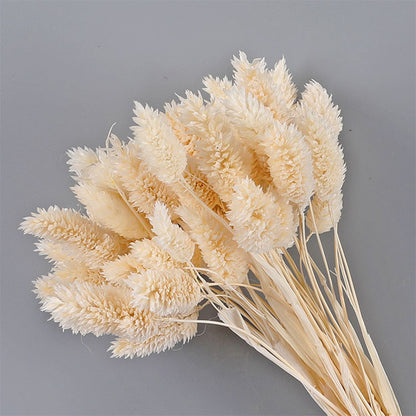 Dried Flower Style 10