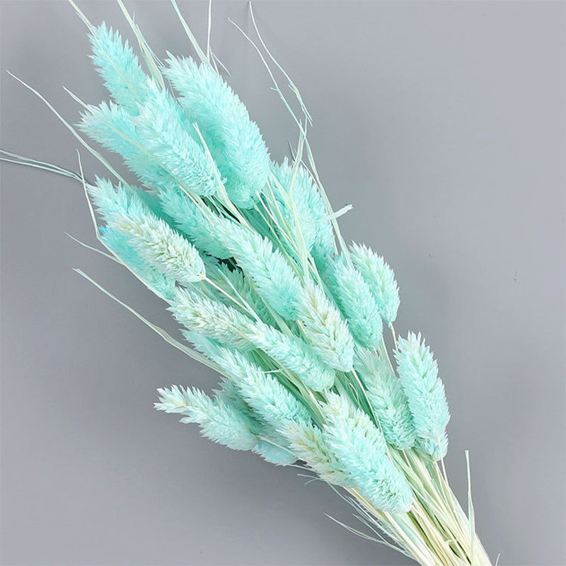 Ainyrose Dried Flower Style 10